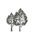 E&S Forestry logo