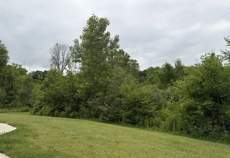 Pasture Reclamation in Mansfield, OH